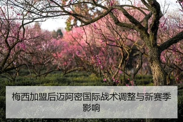 梅西加盟后迈阿密国际战术调整与新赛季影响